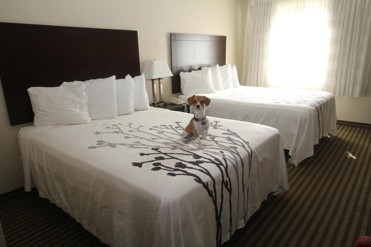 Bowman Inn And Suites Esterno foto